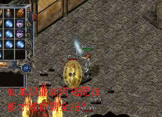 仙单职业如何搭配技能才能称霸全服? 仙单职业如何搭配技能才能称霸全服?