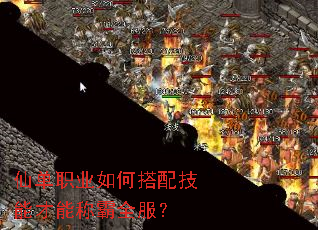 仙单职业如何搭配技能才能称霸全服? 仙单职业如何搭配技能才能称霸全服?