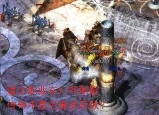 道士职业在1.95刺影传奇中是否真的无敌? 道士职业在1.95刺影传奇中是否真的无敌?