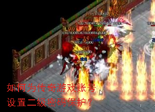 ���Ϊ������Ϸ�˺����ö������뱣����