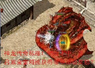 神龙传奇私服1.95版本中,开启紫金宝箱能获得哪些顶级奖励? 神龙传奇私服1.95版本中,开启紫金宝箱能获得哪些顶级奖励?