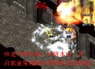 神龙传奇私服1.95版本中,开启紫金宝箱能获得哪些顶级奖励? 神龙传奇私服1.95版本中,开启紫金宝箱能获得哪些顶级奖励?