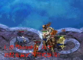 打赤月boss时,战士的配合真的不可或缺吗? 打赤月boss时,战士的配合真的不可或缺吗?