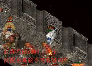 打赤月boss时,战士的配合真的不可或缺吗? 打赤月boss时,战士的配合真的不可或缺吗?