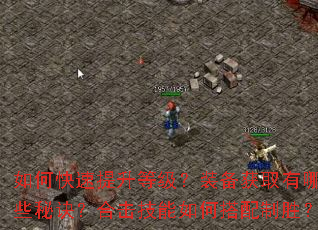 如何快速提升等级?装备获取有哪些秘诀?合击技能如何搭配制胜? 如何快速提升等级?装备获取有哪些秘诀?合击技能如何搭配制胜?