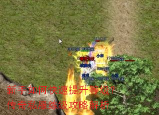 新手如何快速提升等级?传奇私服练级攻略解析 新手如何快速提升等级?传奇私服练级攻略解析