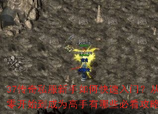 37传奇私服新手如何快速入门?从零开始到成为高手有哪些必看攻略? 37传奇私服新手如何快速入门?从零开始到成为高手有哪些必看攻略?