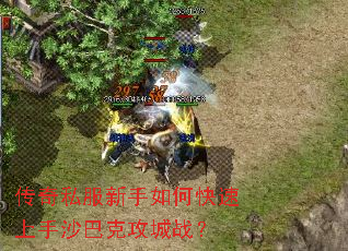 传奇私服新手如何快速上手沙巴克攻城战? 传奇私服新手如何快速上手沙巴克攻城战?