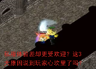 私服体验差却更受欢迎?这3大原因说到玩家心坎里了吗? 私服体验差却更受欢迎?这3大原因说到玩家心坎里了吗?
