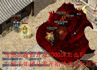传奇私服新开服3000OK怎么玩?新手如何从零开始快速提升战力? 传奇私服新开服3000OK怎么玩?新手如何从零开始快速提升战力?