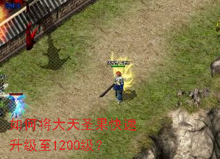 如何将大天圣果快速升级至1200级? 如何将大天圣果快速升级至1200级?