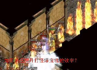 如何快速提升打怪爆宠物的效率? 如何快速提升打怪爆宠物的效率?