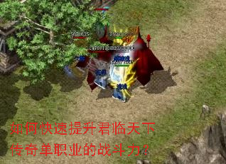 如何快速提升君临天下传奇单职业的战斗力? 如何快速提升君临天下传奇单职业的战斗力?