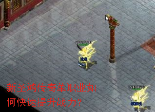 ��ʥ�贫�浥ְҵ��ο�������ս����