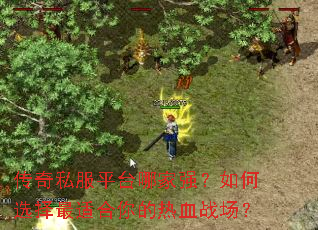 传奇私服平台哪家强?如何选择最适合你的热血战场? 传奇私服平台哪家强?如何选择最适合你的热血战场?