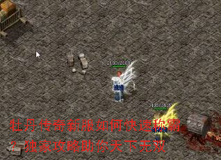 牡丹传奇新服如何快速称霸?独家攻略助你天下无双 牡丹传奇新服如何快速称霸?独家攻略助你天下无双