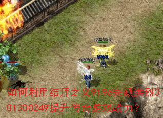 如何利用结拜之义9196完颜洪烈301300249提升传奇游戏战力? 如何利用结拜之义9196完颜洪烈301300249提升传奇游戏战力?