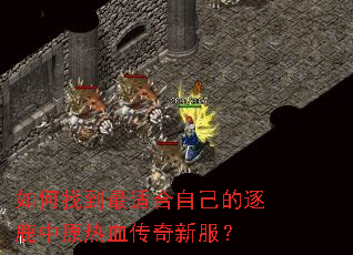 如何找到最适合自己的逐鹿中原热血传奇新服? 如何找到最适合自己的逐鹿中原热血传奇新服?