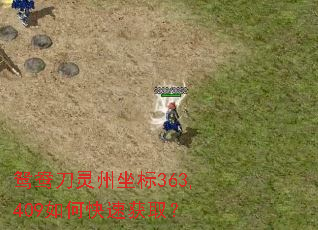 鸳鸯刀灵州坐标363,409如何快速获取? 鸳鸯刀灵州坐标363,409如何快速获取?