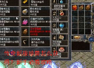 传奇新服珍兽怎么获得?新手必看攻略 传奇新服珍兽怎么获得?新手必看攻略