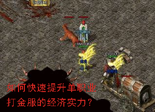 如何快速提升单职业打金服的经济实力? 如何快速提升单职业打金服的经济实力?