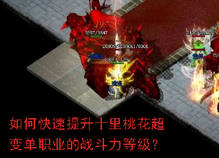 如何快速提升十里桃花超变单职业的战斗力等级? 如何快速提升十里桃花超变单职业的战斗力等级?
