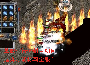 ��ְҵ�л������ѡ����ܳư�ȫ����