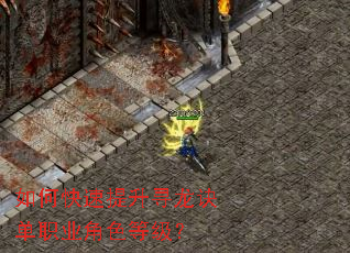 如何快速提升寻龙诀单职业角色等级? 如何快速提升寻龙诀单职业角色等级?