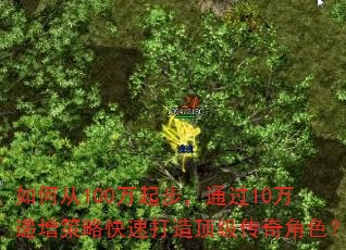 如何从100万起步,通过10万递增策略快速打造顶级传奇角色? 如何从100万起步,通过10万递增策略快速打造顶级传奇角色?