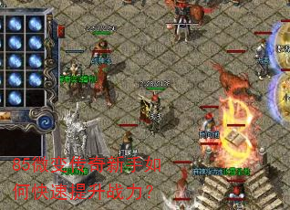 85΢�䴫��������ο�������ս����
