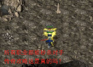 ����ְҵ������ɱ���ִ��湥�����������