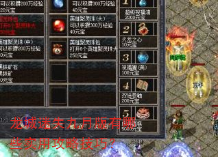 龙城迷失九月版有哪些实用攻略技巧? 龙城迷失九月版有哪些实用攻略技巧?