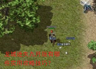 龙城迷失九月版有哪些实用攻略技巧? 龙城迷失九月版有哪些实用攻略技巧?