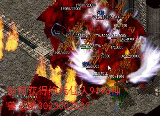 如何获得绝代佳人9196神兽玄武302300253? 如何获得绝代佳人9196神兽玄武302300253?