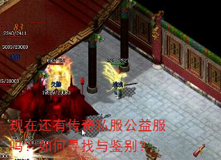 现在还有传奇私服公益服吗?如何寻找与鉴别? 现在还有传奇私服公益服吗?如何寻找与鉴别?