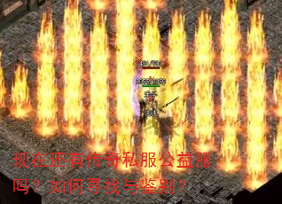 现在还有传奇私服公益服吗?如何寻找与鉴别? 现在还有传奇私服公益服吗?如何寻找与鉴别?