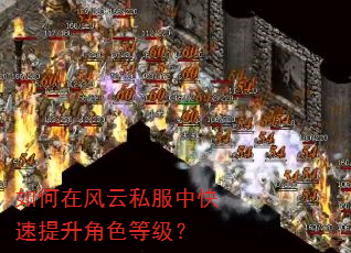如何在风云私服中快速提升角色等级? 如何在风云私服中快速提升角色等级?