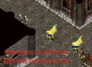 传奇私服251中如何快速提升等级与获取高级装备? 传奇私服251中如何快速提升等级与获取高级装备?