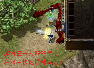 �����һ��9999����˽���п�������ս����