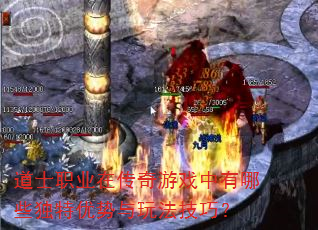 ��ʿְҵ�ڴ�����Ϸ������Щ�����������淨���ɣ�