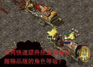 如何快速提升热血传奇私服精品版的角色等级? 如何快速提升热血传奇私服精品版的角色等级?