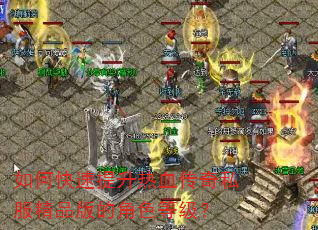 如何快速提升热血传奇私服精品版的角色等级? 如何快速提升热血传奇私服精品版的角色等级?