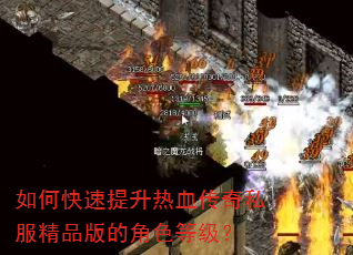 如何快速提升热血传奇私服精品版的角色等级? 如何快速提升热血传奇私服精品版的角色等级?