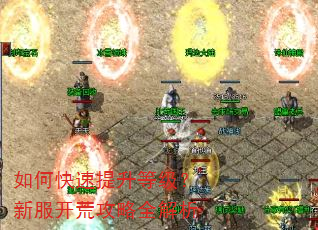 如何快速提升等级?新服开荒攻略全解析 如何快速提升等级?新服开荒攻略全解析