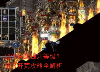 如何快速提升等级?新服开荒攻略全解析 如何快速提升等级?新服开荒攻略全解析