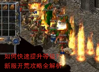 如何快速提升等级?新服开荒攻略全解析 如何快速提升等级?新服开荒攻略全解析