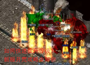 如何快速提升等级?新服开荒攻略全解析 如何快速提升等级?新服开荒攻略全解析