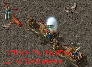 传奇私服sf新开服如何快速升级与获取顶级装备? 传奇私服sf新开服如何快速升级与获取顶级装备?
