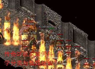 ����SF�����ο�ѧ������ѡ���ܣ�