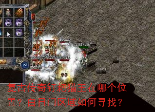 ���Ŵ��涤��è�����ĸ�λ�ã��������������Ѱ�ң�